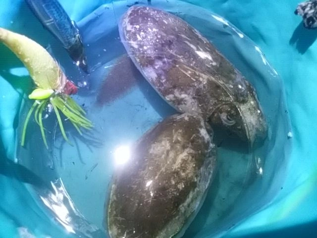 感謝