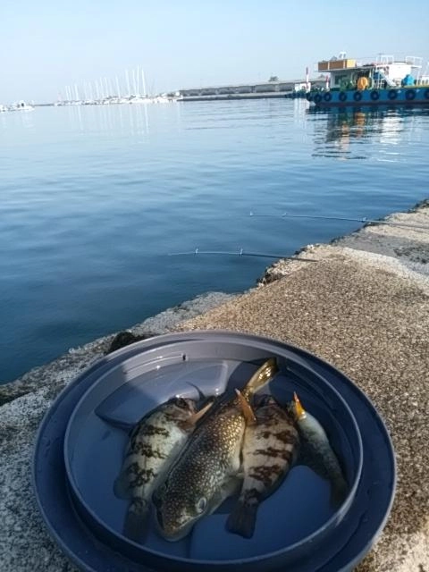 感謝