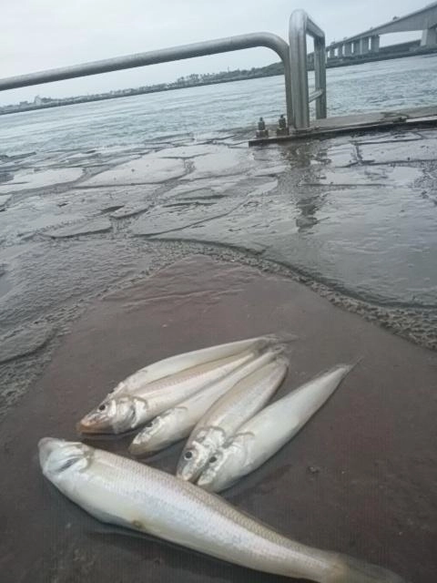 感謝