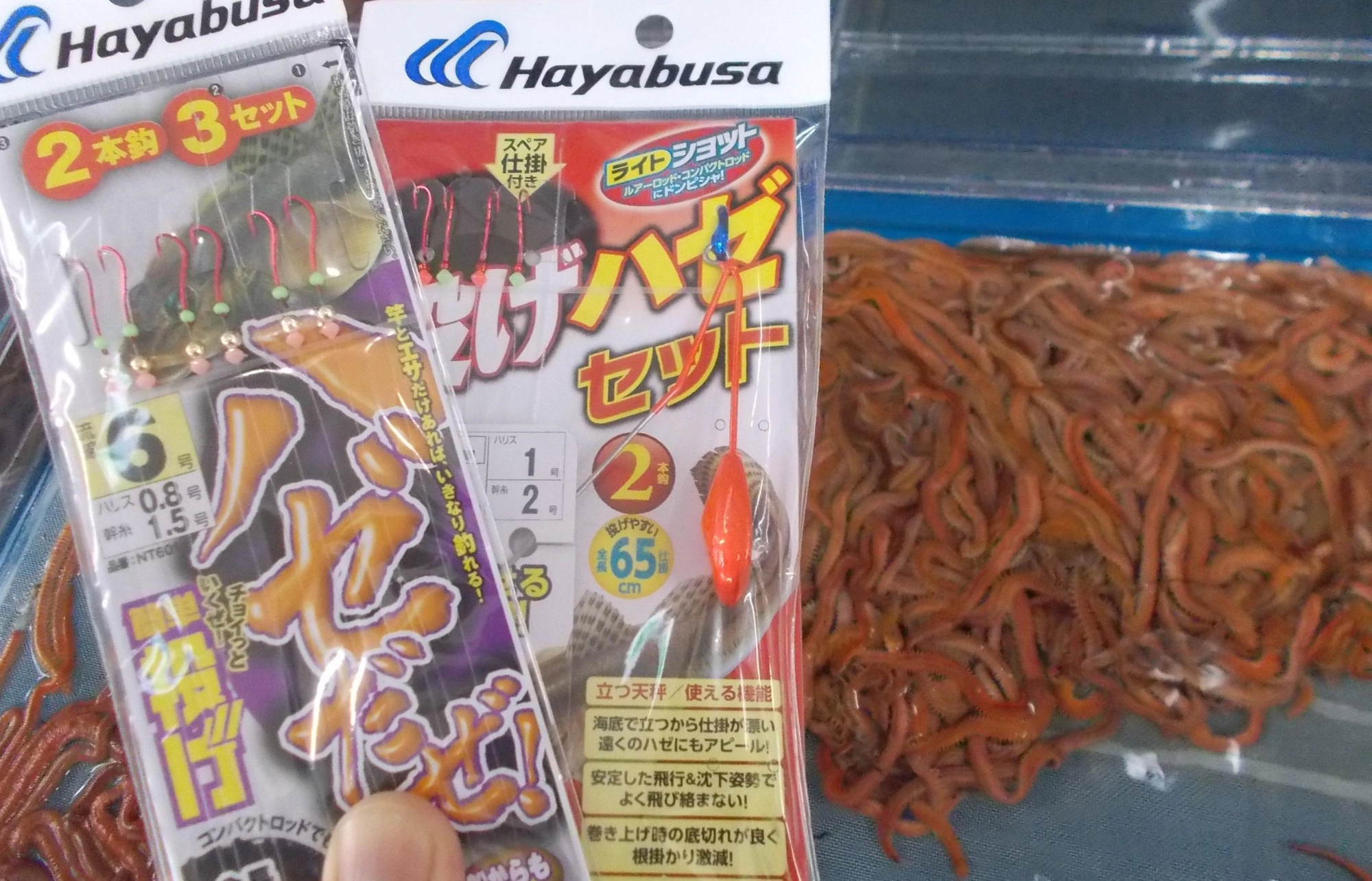 エサは赤くて目立つゴールドイソメ、またハゼは石の周辺に居るので替えの仕掛けは必ず持って行ってください。