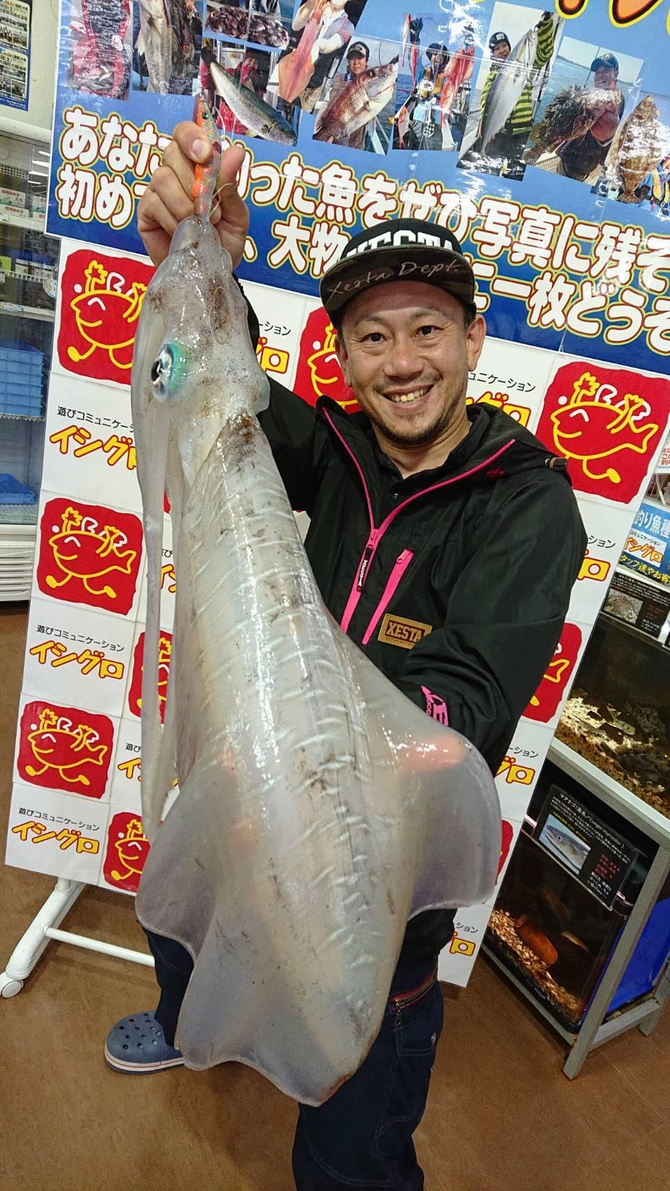 イシグロ半田店【知多3kg超えモンスターアオリ出現】ゼスタ