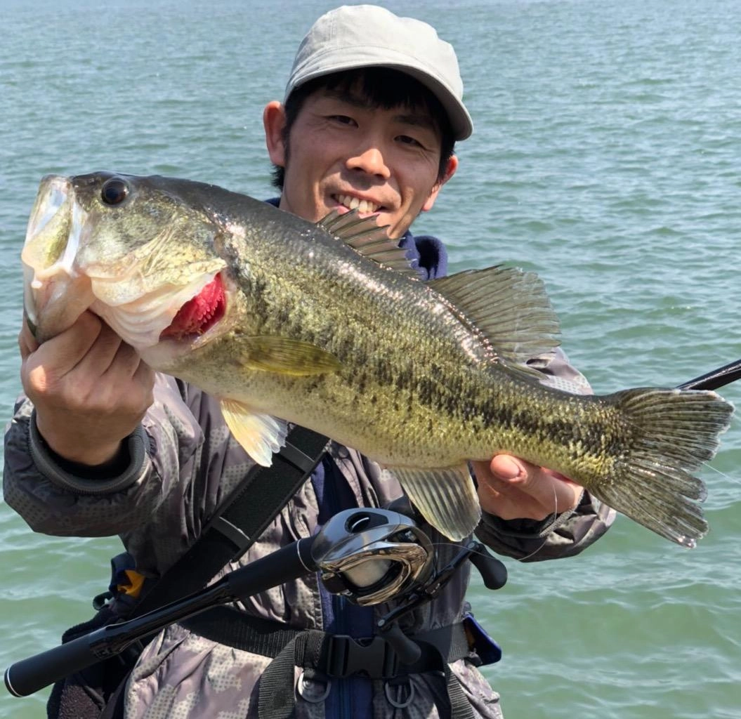 春の琵琶湖