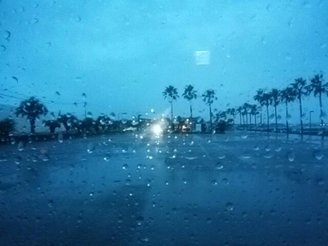 雨が好き