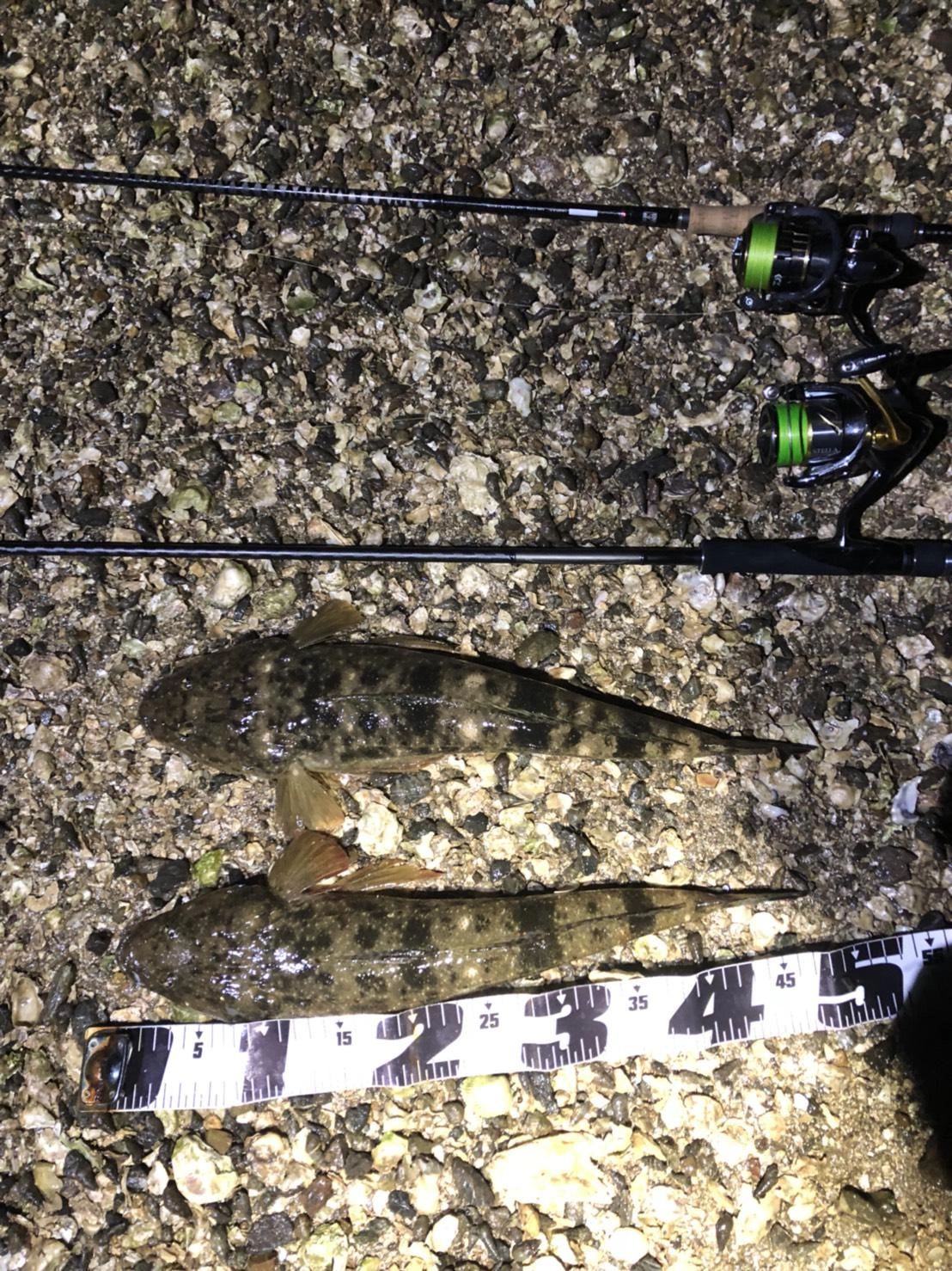 終盤ににダブルヒット！