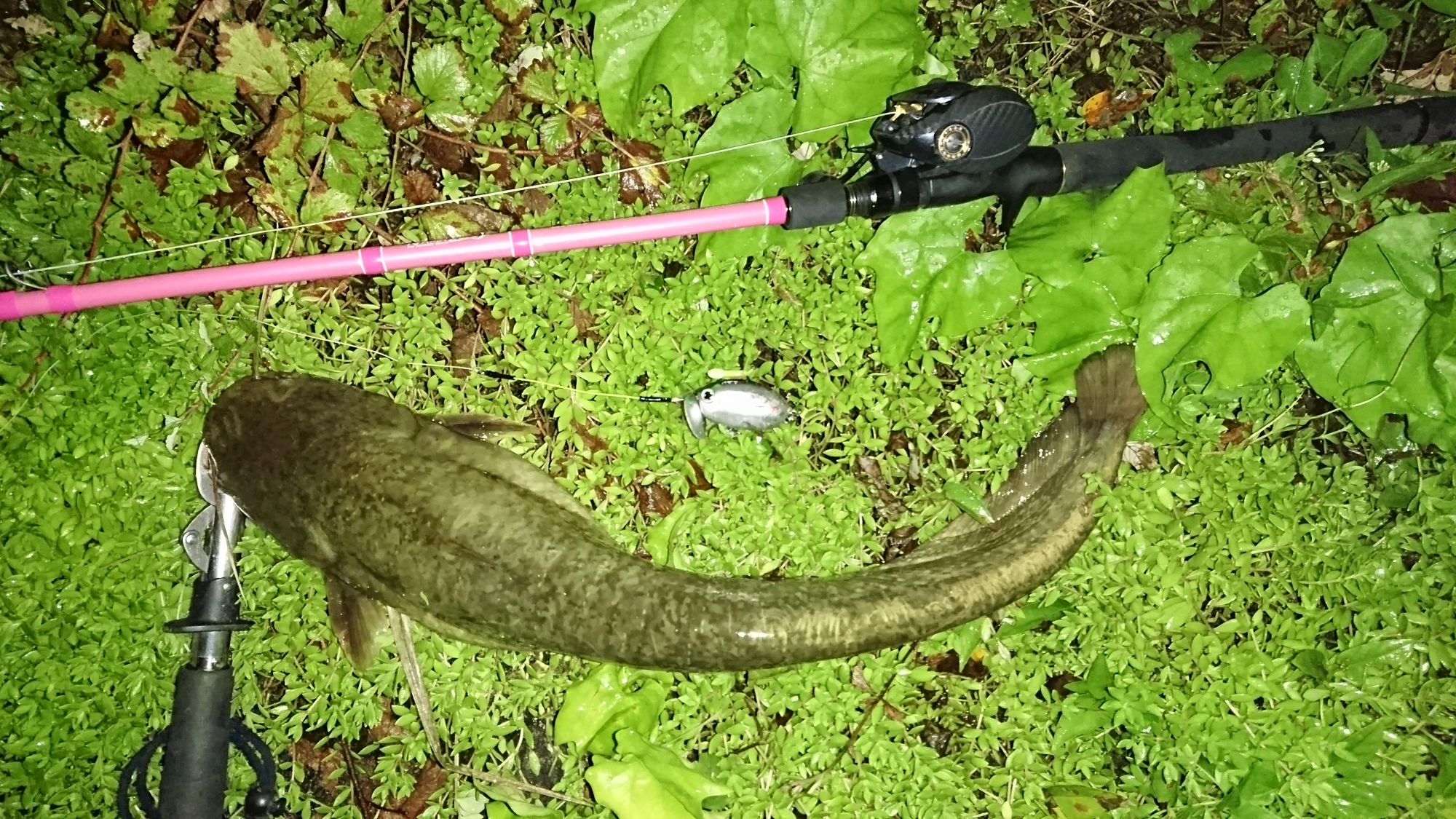 ルアーはザクトクラフト
ザグナ