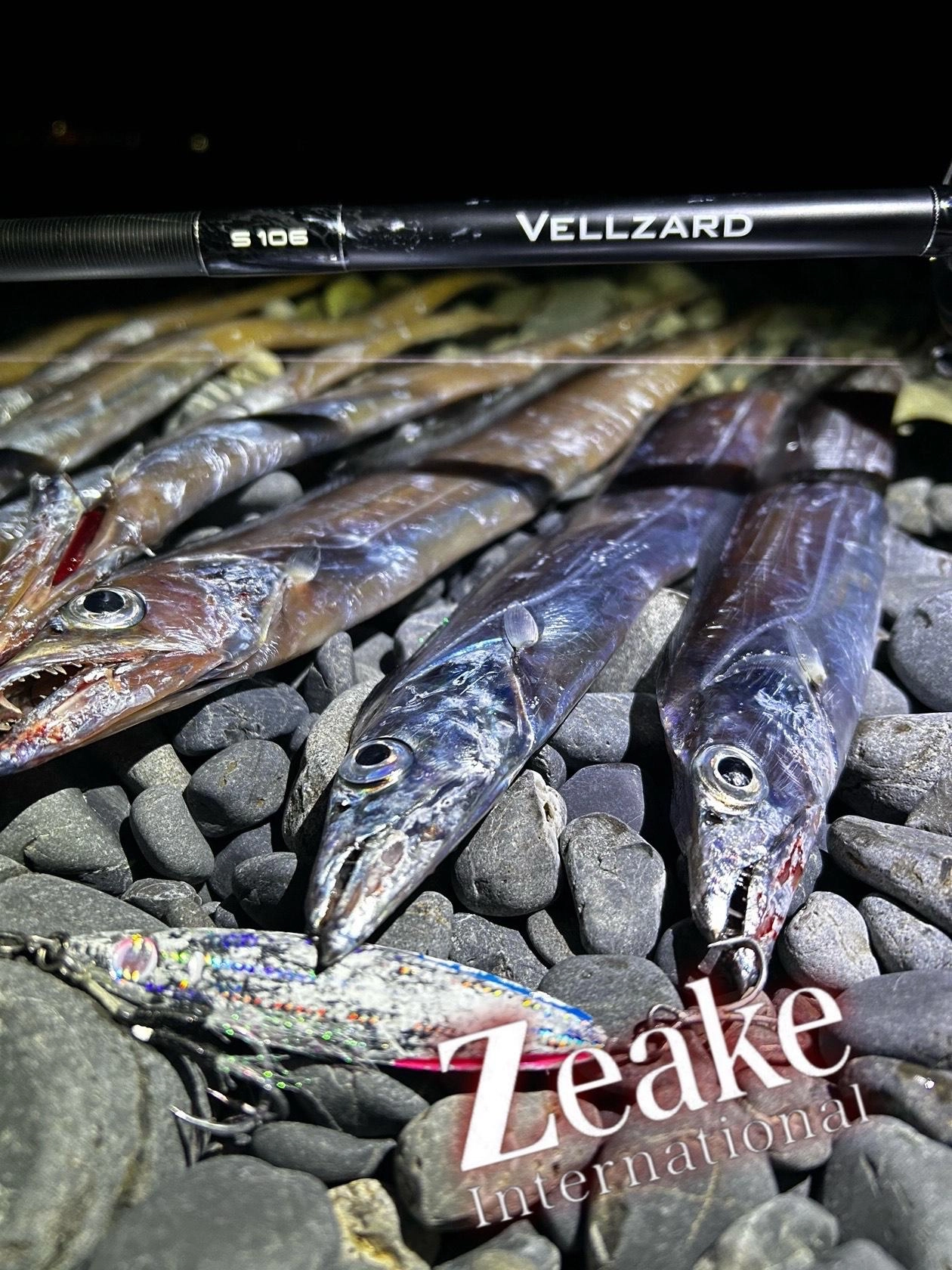 お客様釣果情報】 焼津サーフタチウオ好調!! | 釣具のイシグロ | 釣り