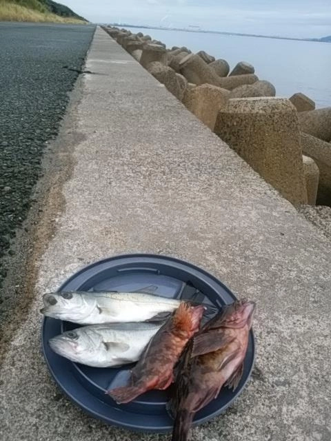 恵みにらぶ