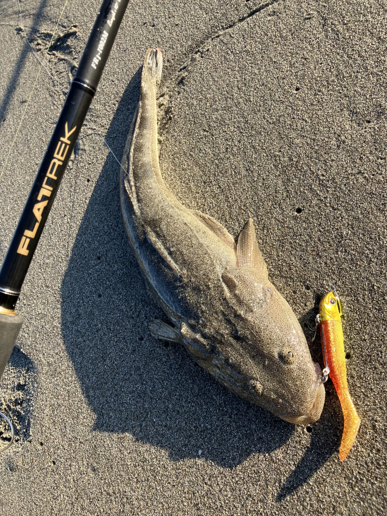 浜王21gアカハラヒラメゴールド