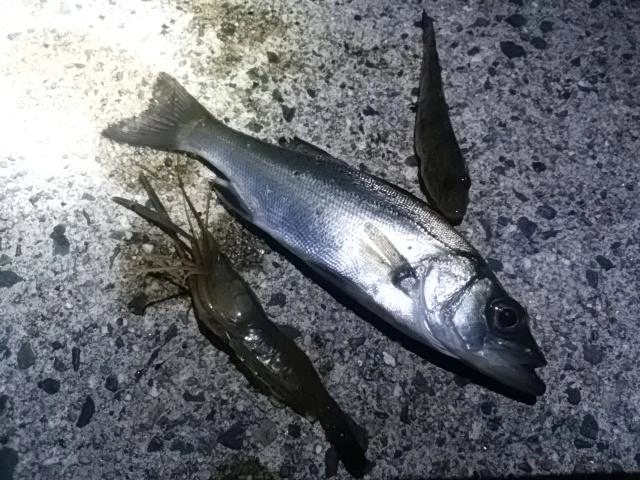 感謝