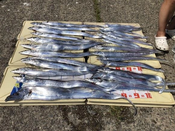 指７本サイズのドラゴン