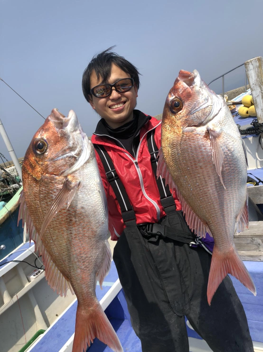 乗っ込みマダイ釣れております！！地合いの時は手返しよくやると数が伸びます！