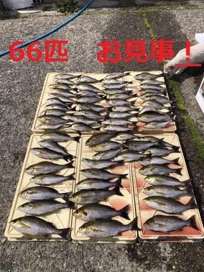 朝から入れ食いモード突入！