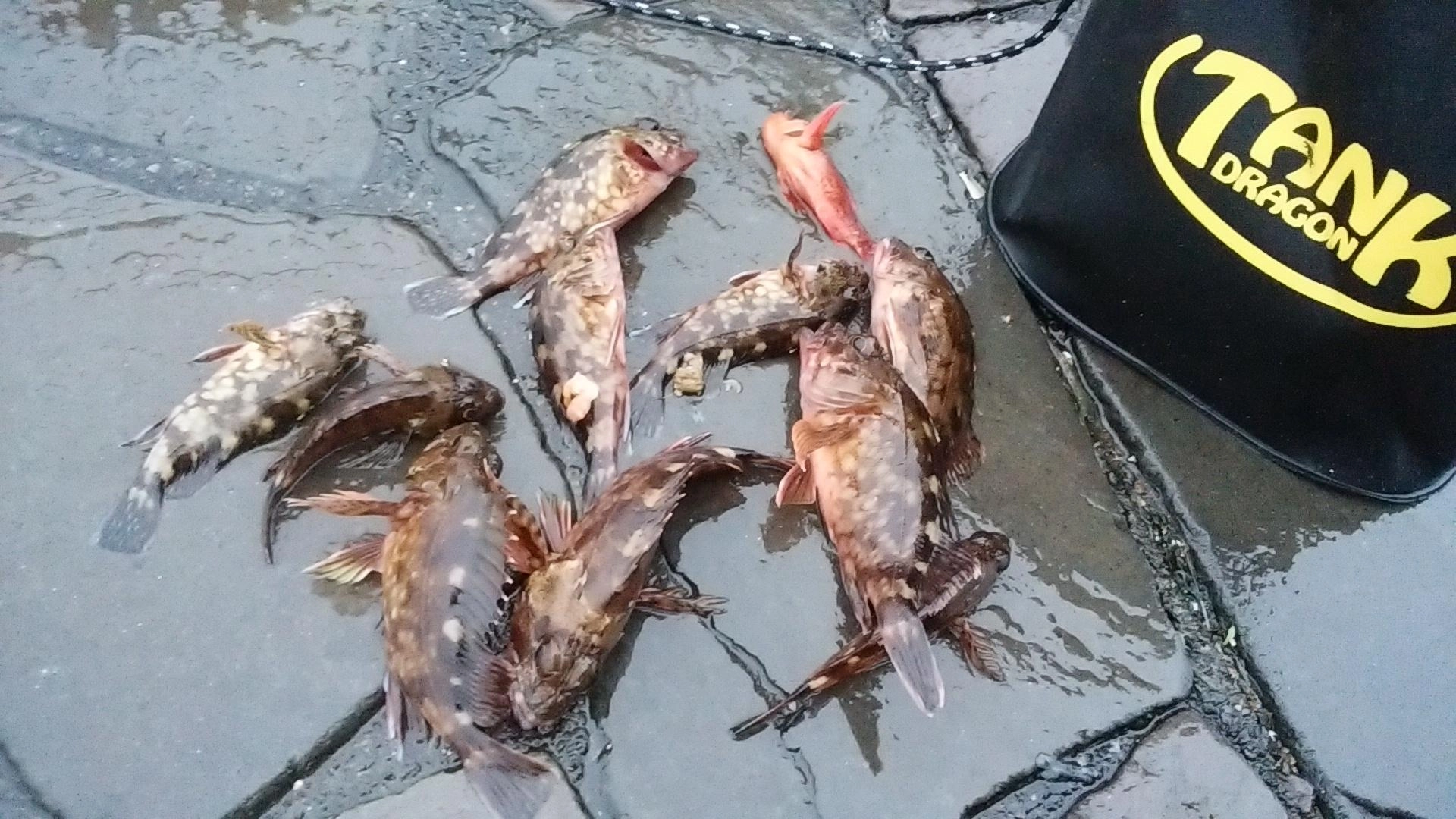 恵みに感謝です!