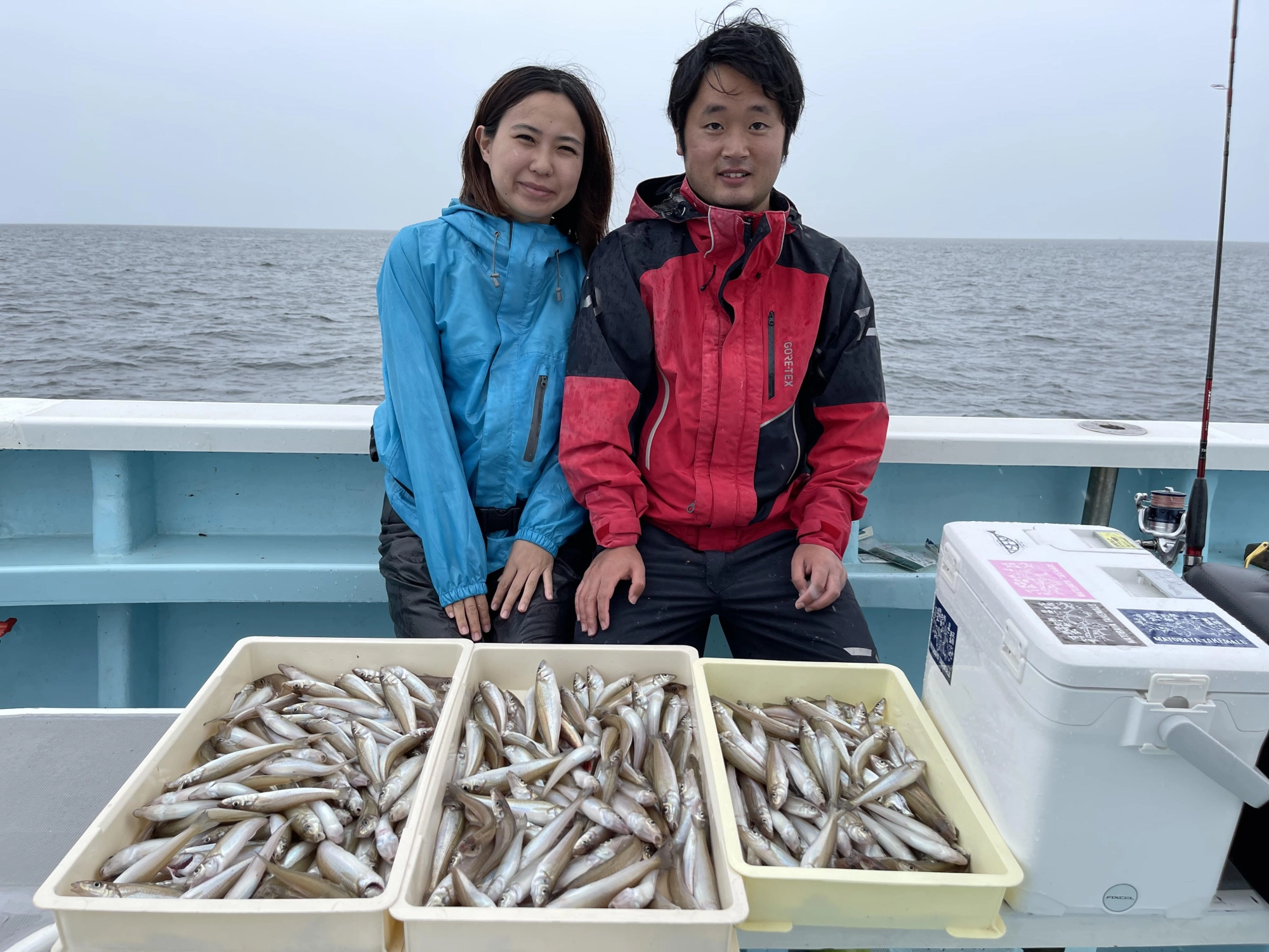 こちらのいつもの常連様は おふたりでの釣果ではありますが300本Overのめちゃ釣りでしたッ(°▽°)