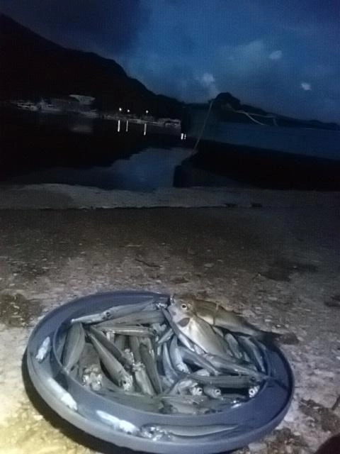 感謝