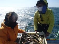 良型カワハギにフグ!!美味しい魚が釣れますよ～♪