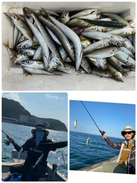 アジ、サバはコマセをまくとすぐに集まって入れ食いです(^^)/