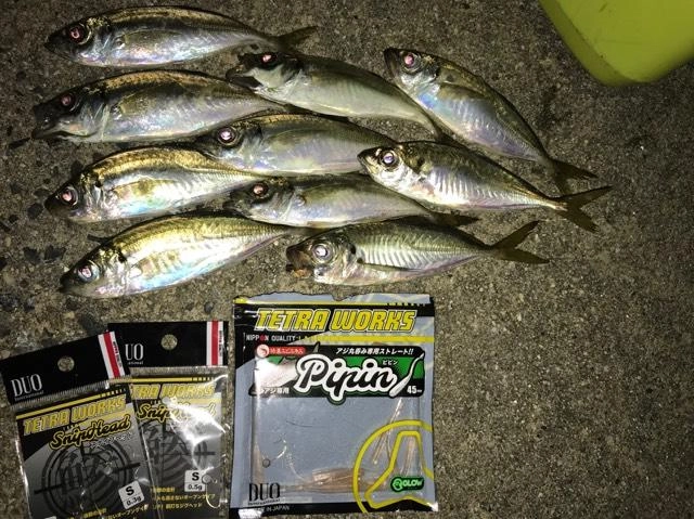 アジ10匹の釣果でした。