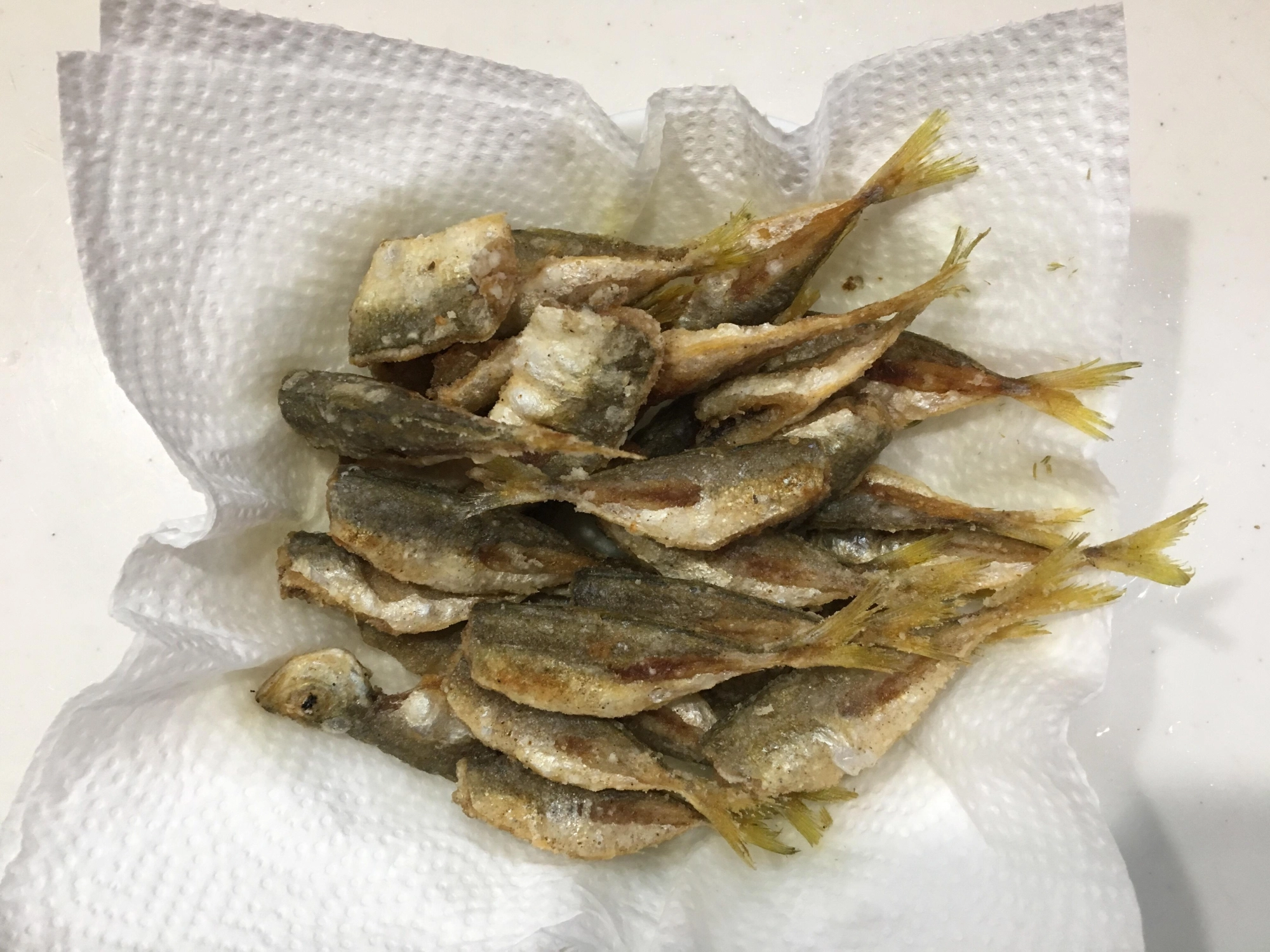 アジは唐揚げで美味しく食べました。