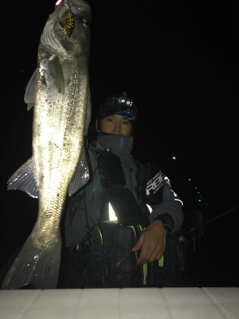 サイズは出ませんでしたが数釣りができました！
