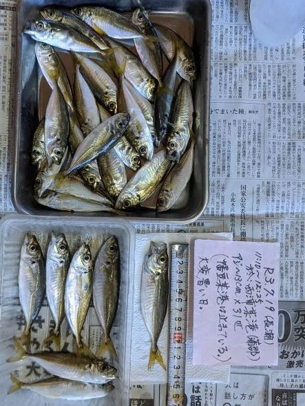 幡豆某港は止まってしまっていたため、西浦へ。