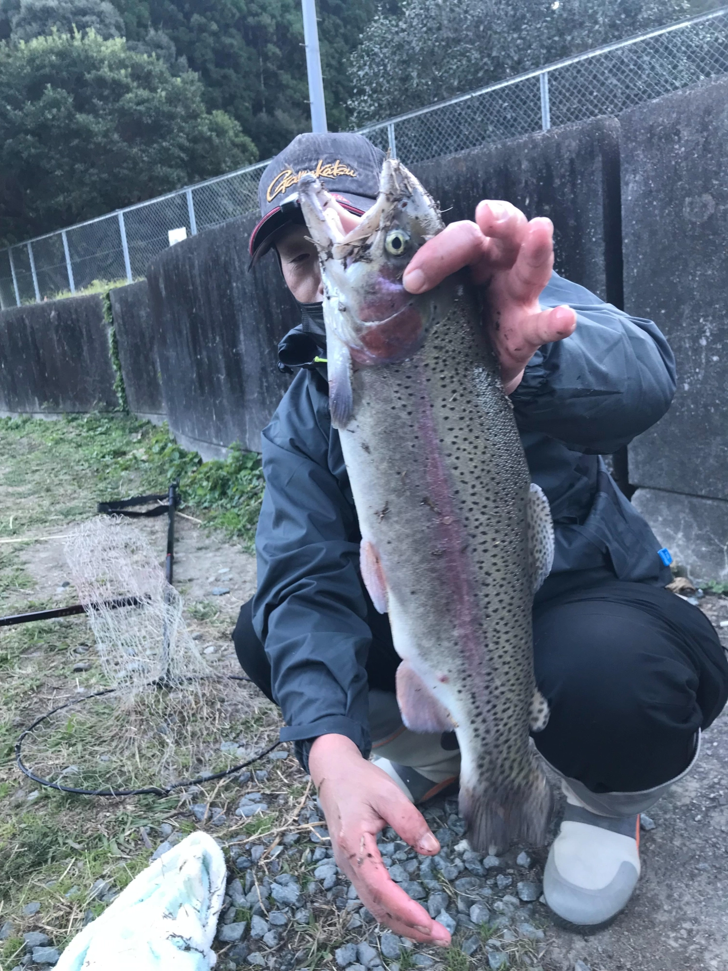 水面から底に着く間に当たる
それを繰り返す事によって魚は興味をしめします。