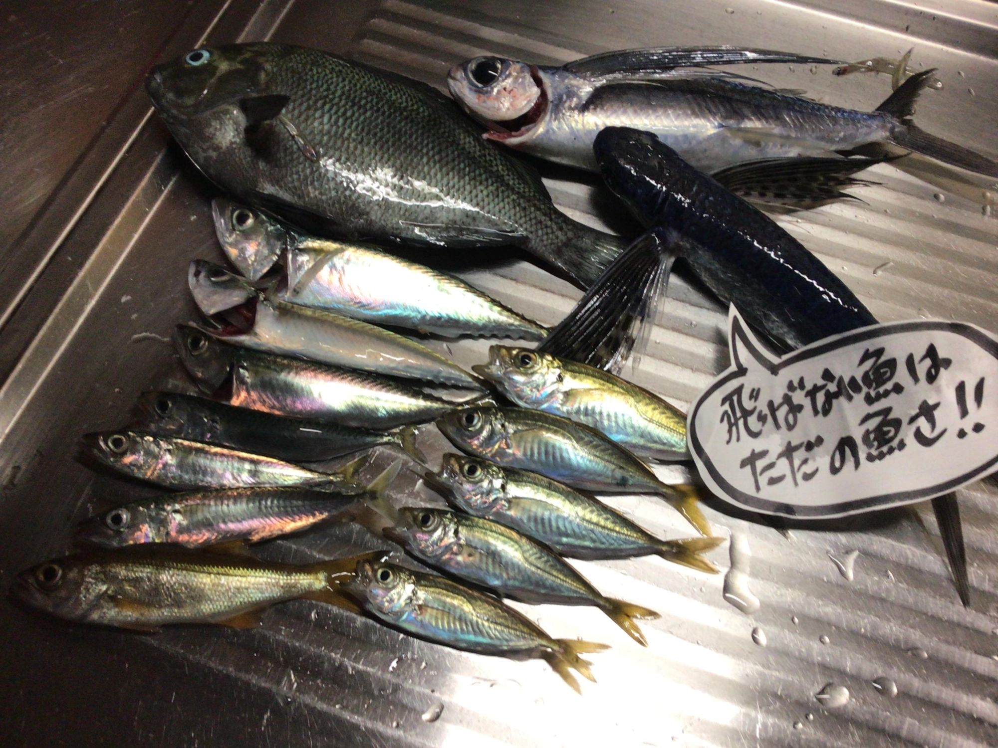 今日も変則五目達成デス❗️、、、恵みに感謝。