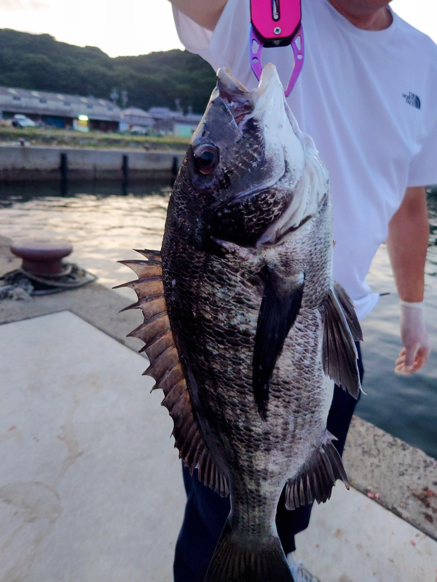 やった〜!初めての大物に
テンション上がります！
やっぱり釣りは楽しい