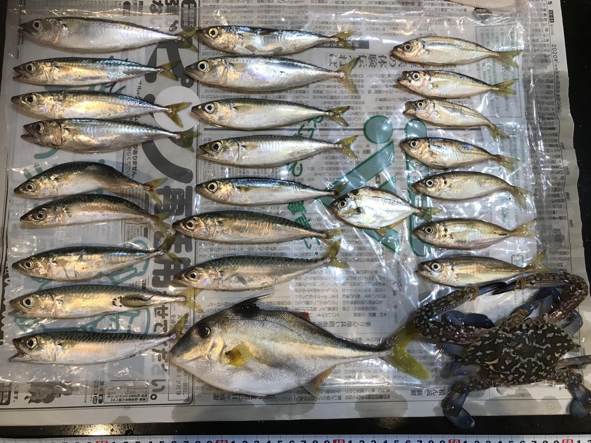 全然釣れない日でした。
初めて釣りの最中にヒマ過ぎて寝た！！