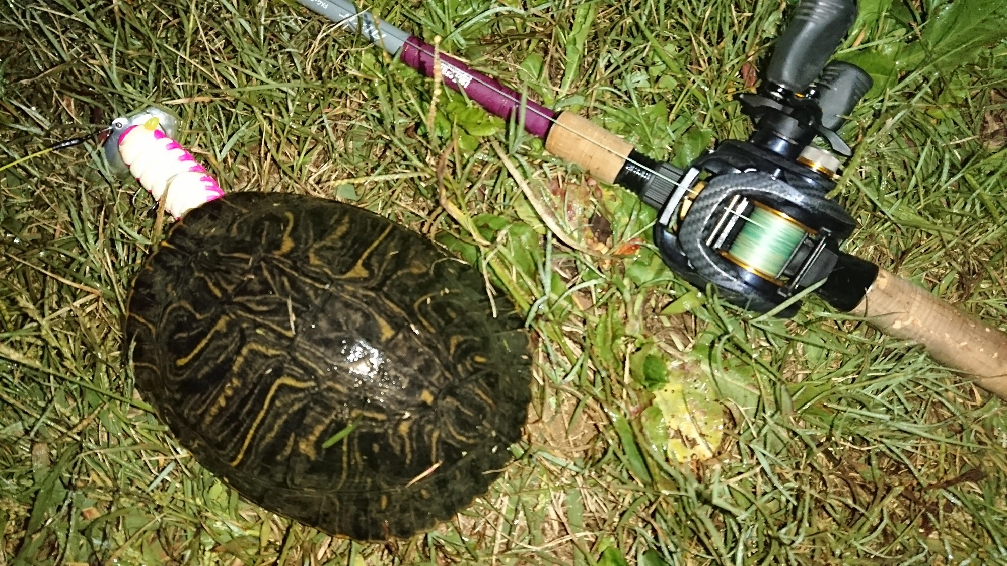やっちまった。
残念！
ビニール袋かと思った。