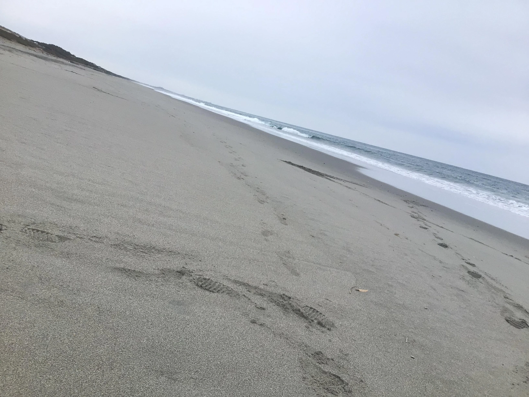 海岸がとても綺麗ですよ♪