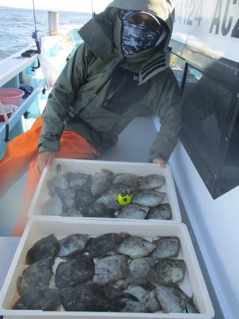 こちらの常連様はリリースサイズ一切無しの良型カワハギ含めて30枚の大漁でしたッ(°▽°)
