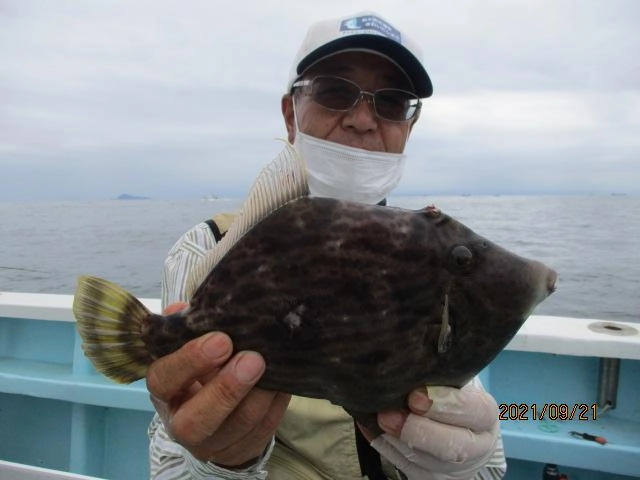 いつもの常連様は初秋❷❾㌢デカカワハギを釣り上げましたよッ(°▽°)