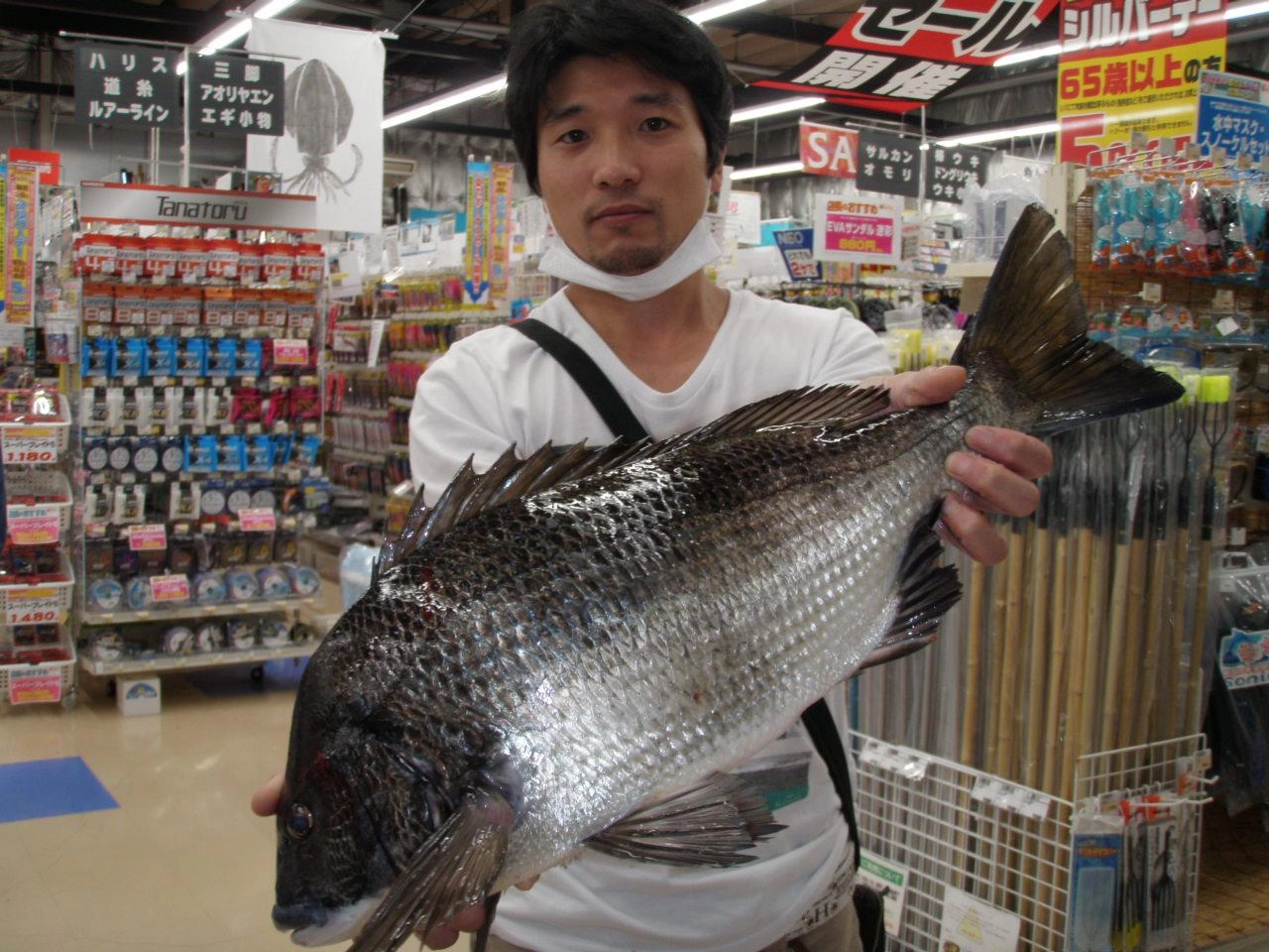 タナは竿２本分とのこと！