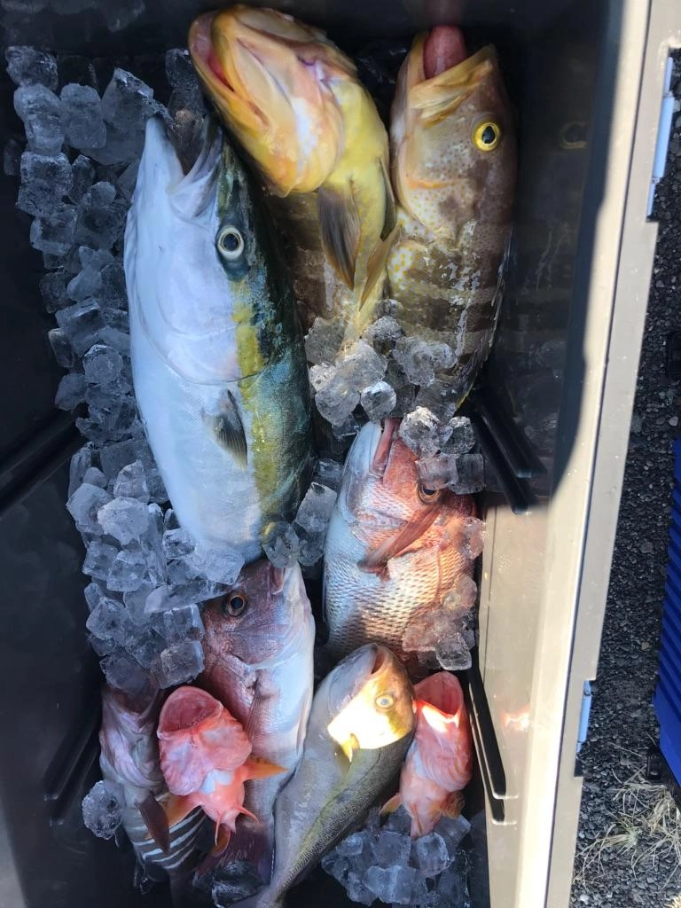 様々なおいしい魚が釣れました！
