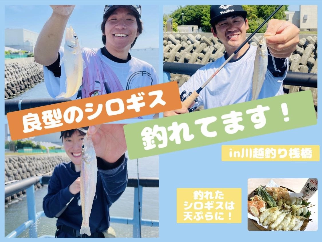 【良型のシロギス釣れてます♪】ちょい投げin川越釣り桟橋
