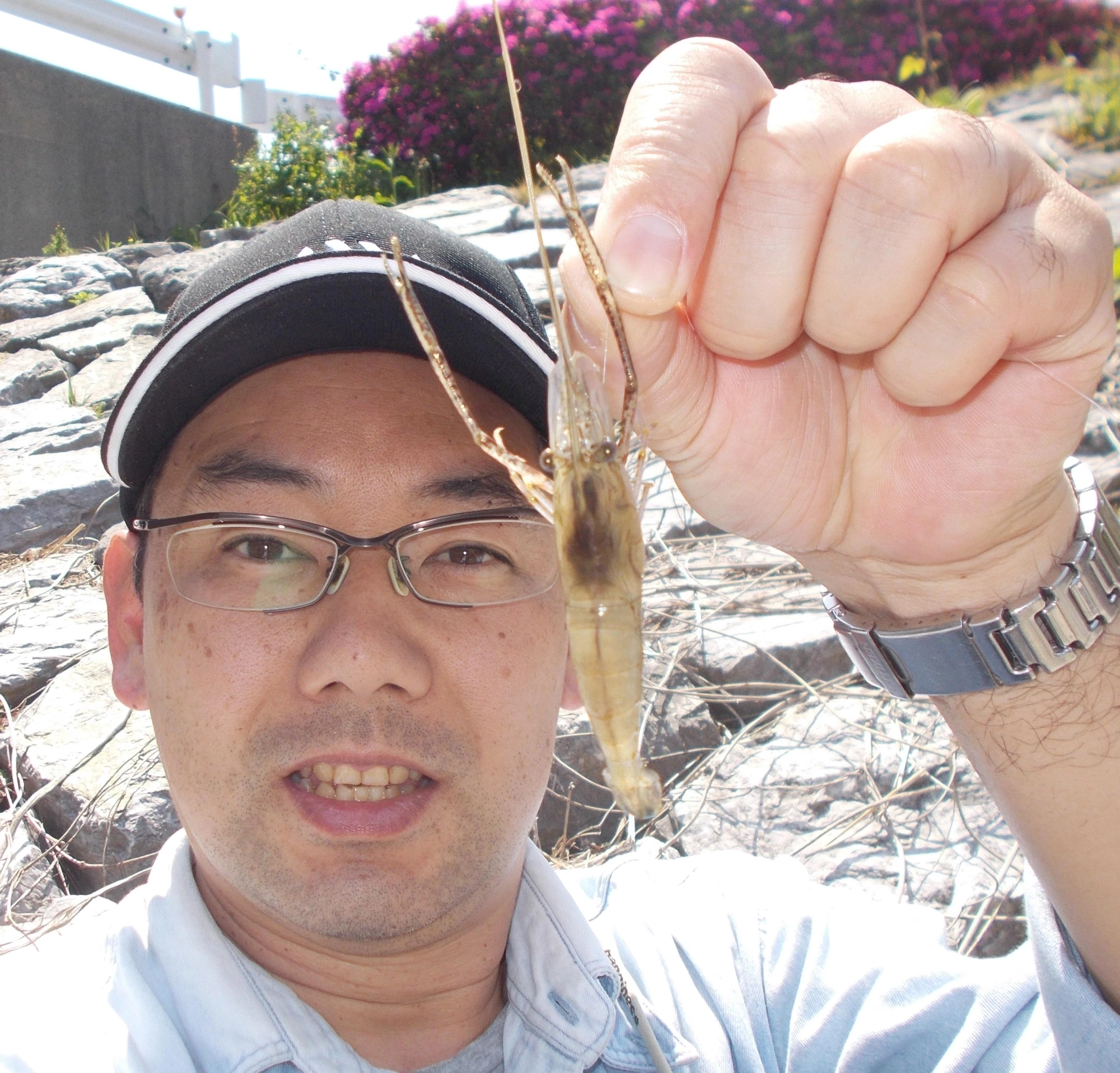 様子を見に行って来ました。水温まだ低めの為かアタリが出てから1分くらい待たないと喰い付いてきませんでした。これから7月位までがシーズンです。