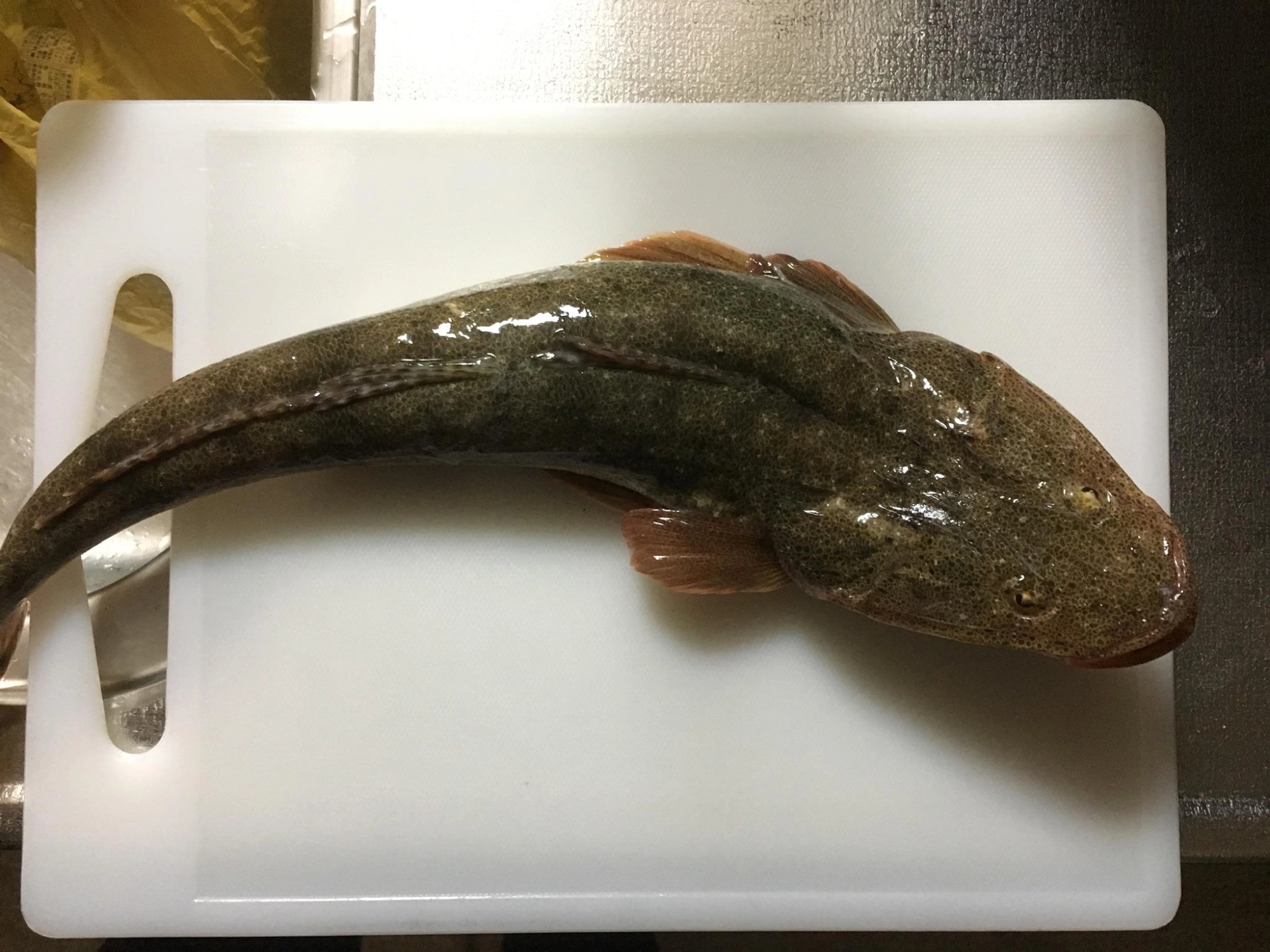 底面でいきなり
くってきました。