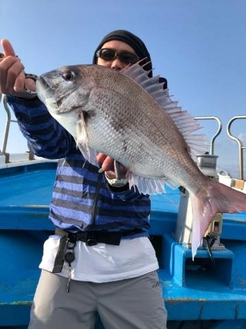 このサイズのマダイがいっぱい釣れます