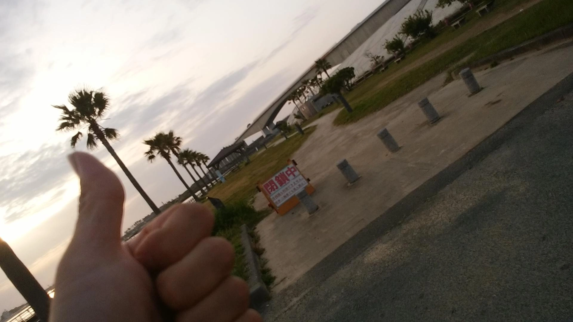 ナイス朝活