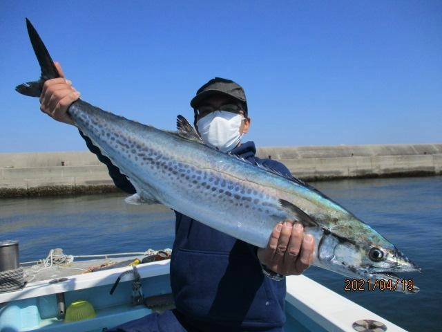 食ってもなかなか船に上がってこないデラ旨メタボザワラはかなり嬉しいッ(о´∀`о)