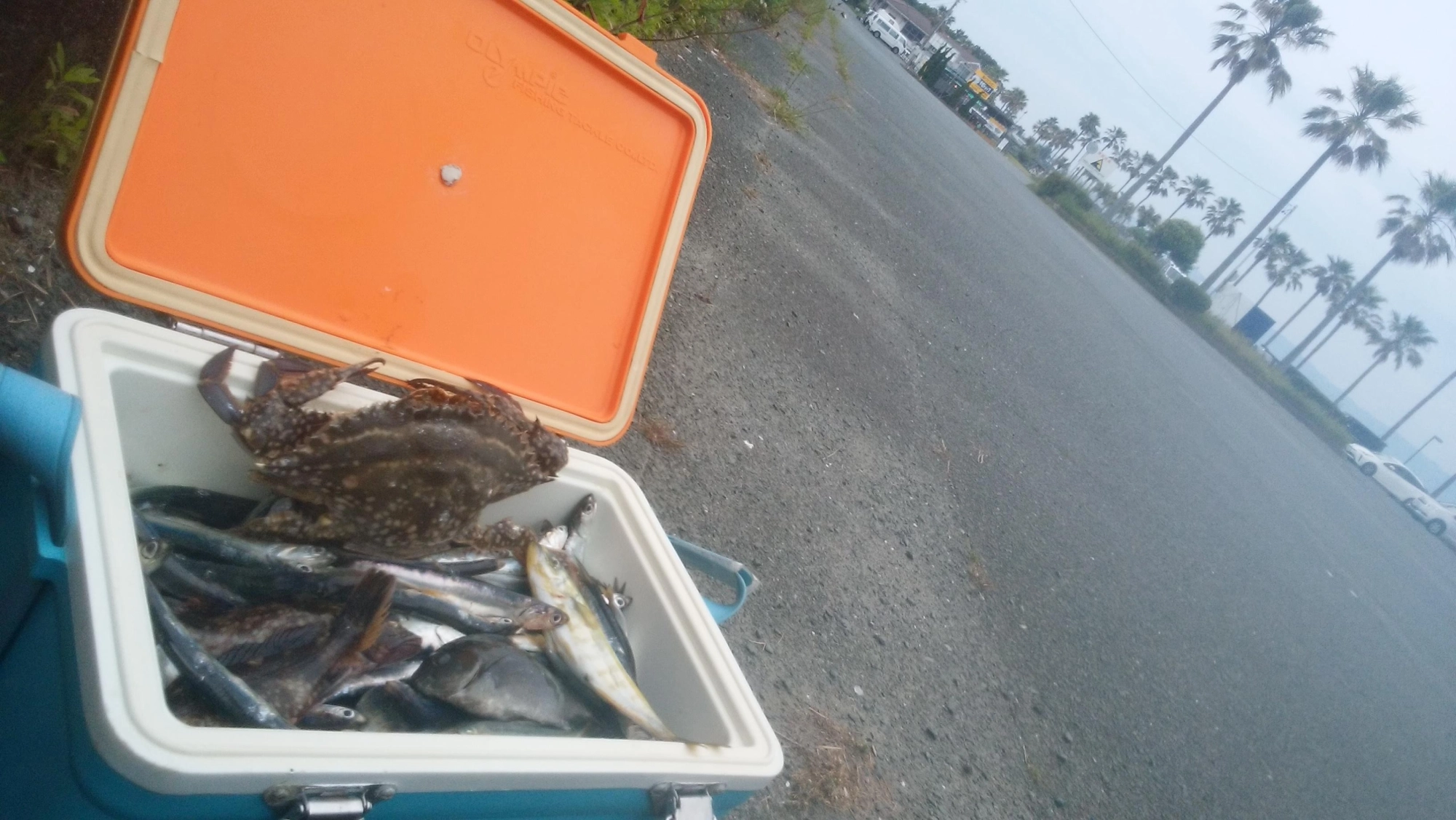 満タンデス！恵みに感謝申し上げる！
