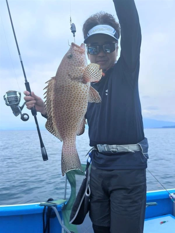 良型のオオモンハタが釣れました！35cmのオオモンハタの引きは強烈でした！