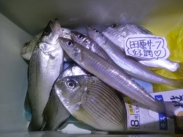 感謝