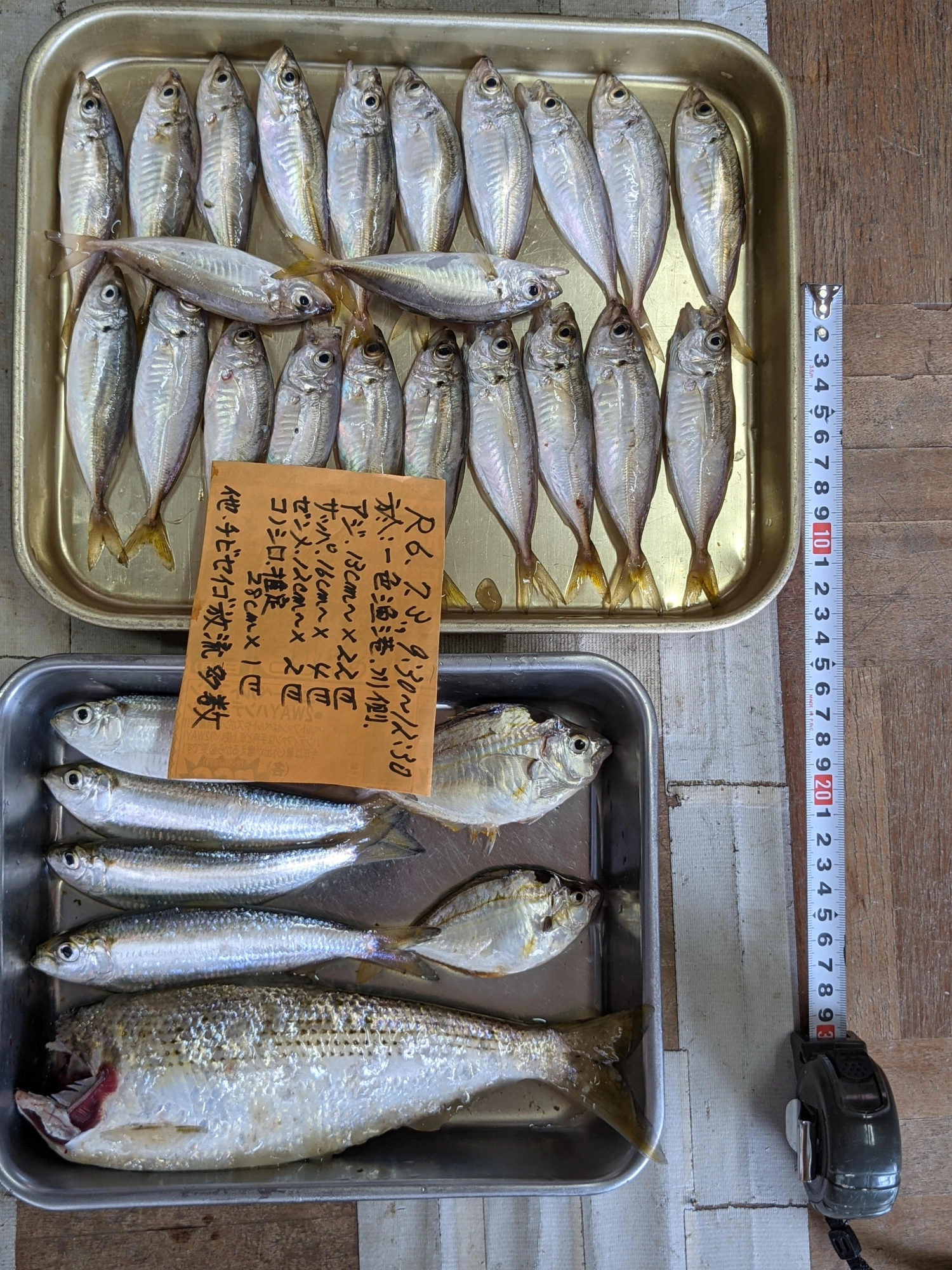 待ち続けられればひょっとして....