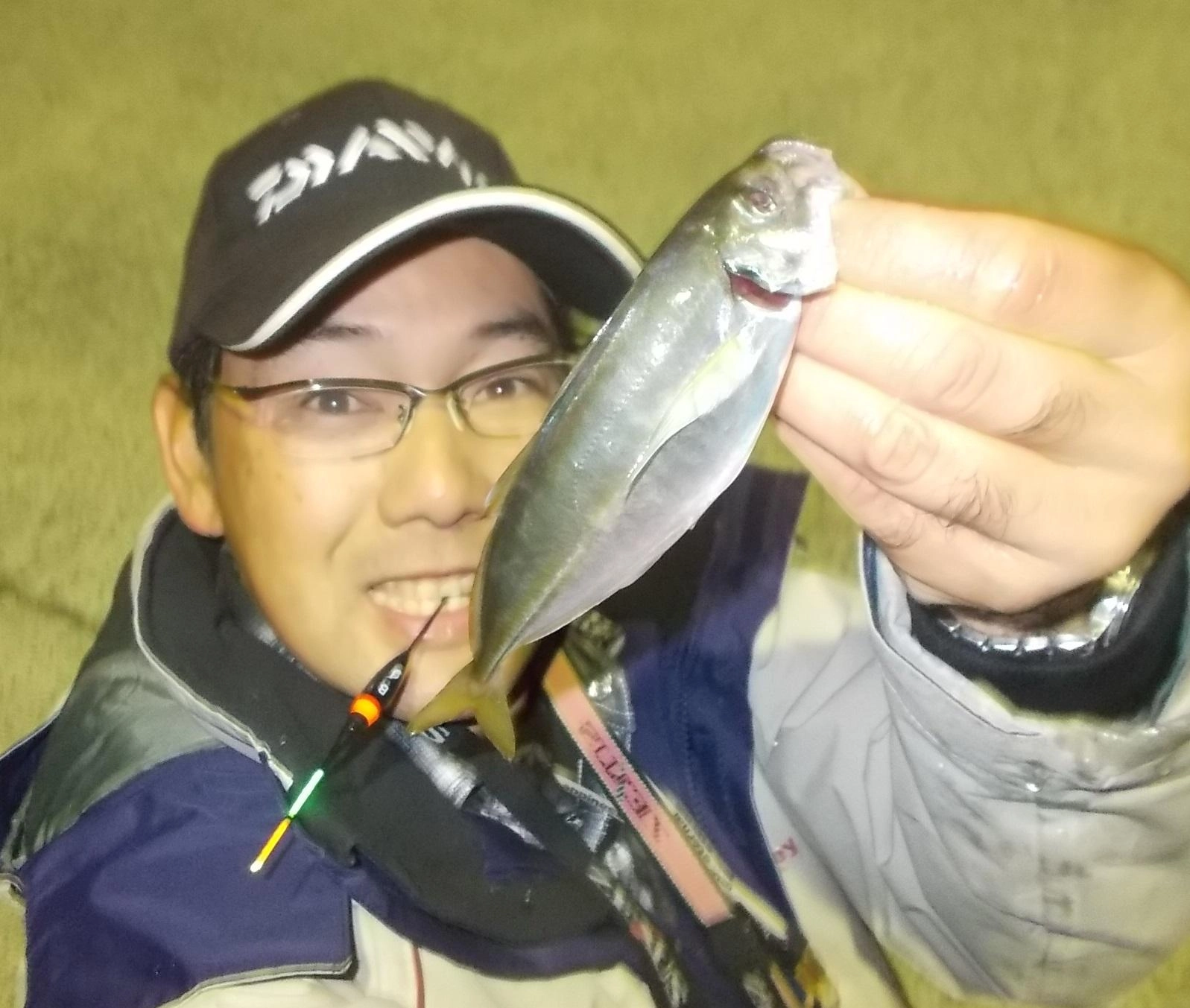 今年はまだまだアジが釣れてます。日ムラはありますが多い時には2,30匹の釣果も！！