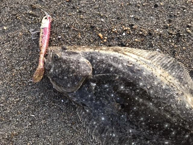 浜王28gゴールドピンクイワシのリフトアンドフォールの着底でゴツゴツっと^_^