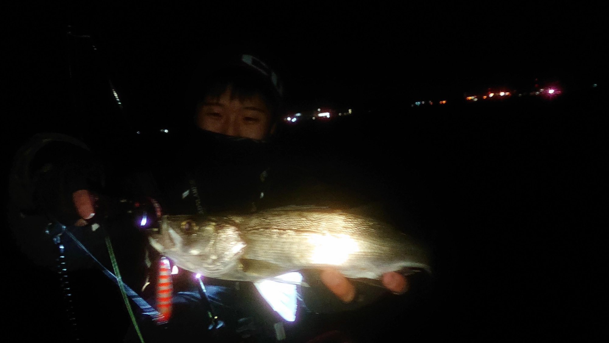 今、平均サイズちょっと小さめです