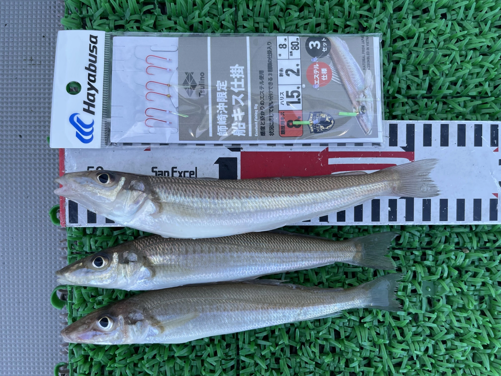 ザ 釣れる仕掛けッ‼︎コレさえあれば美味しいモロポチャギスが釣れますよッ(^-^)