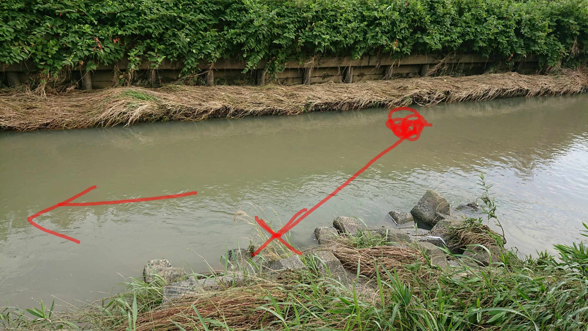 上流から下流にルアーを流し、❌のマークでヒット